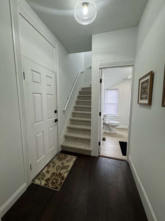 foyer entrance with dark hardwood / wood-style floors