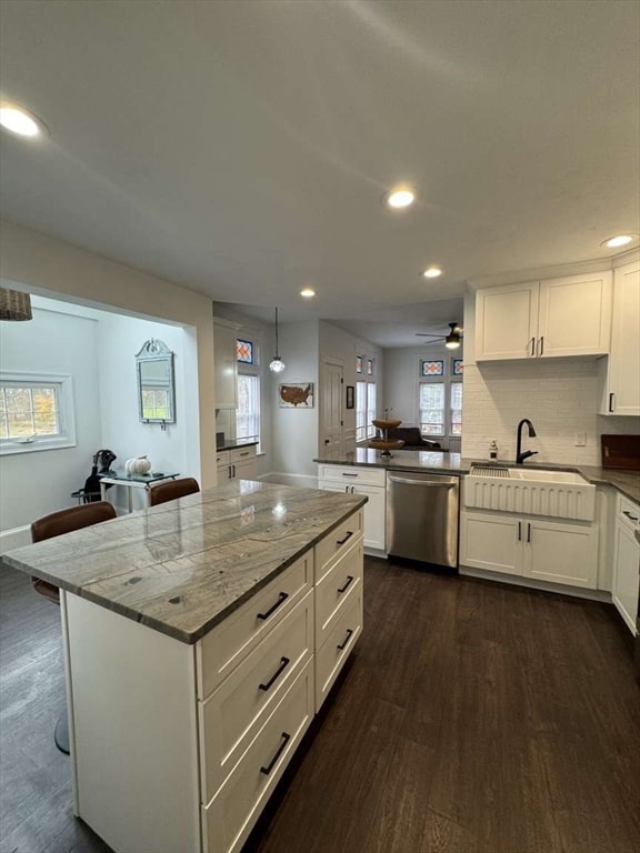 kitchen featuring a healthy amount of sunlight, dark hardwood / wood-style flooring, and stainless steel dishwasher