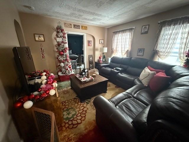 living room featuring a textured ceiling