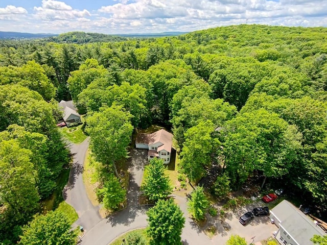 68 Ice Pond Dr, Northampton, MA 01062 - drone / aerial view of a heavily wooded area