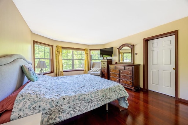 68 Ice Pond Dr, Northampton, MA 01062 - bedroom featuring dark wood-style floors and baseboards