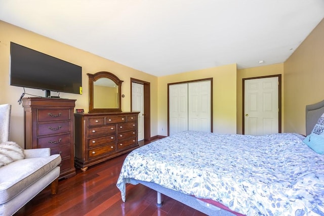 68 Ice Pond Dr, Northampton, MA 01062 - bedroom with dark wood-style flooring and a closet