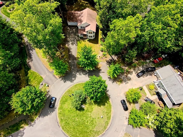 68 Ice Pond Dr, Northampton, MA 01062 - aerial view