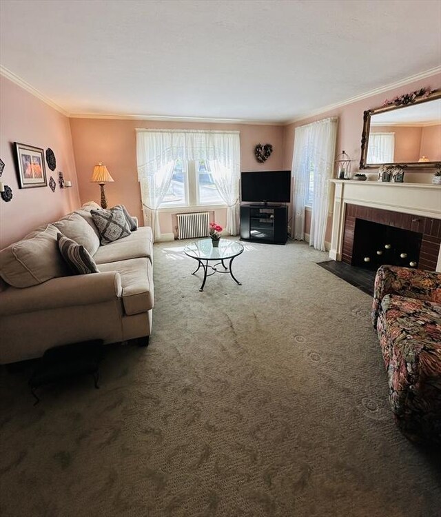 70 Sherman St, Quincy, MA 02170 - living area with radiator, ornamental molding, carpet, and a fireplace