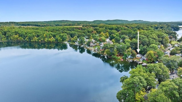 27 Lakeview St, Southwick, MA 01077 - drone / aerial view with a water view and a forest view