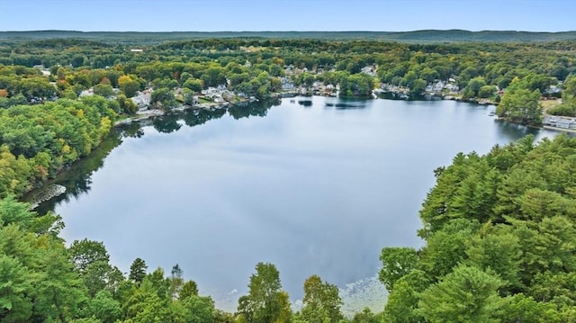27 Lakeview St, Southwick, MA 01077 - drone / aerial view with a water view and a wooded view