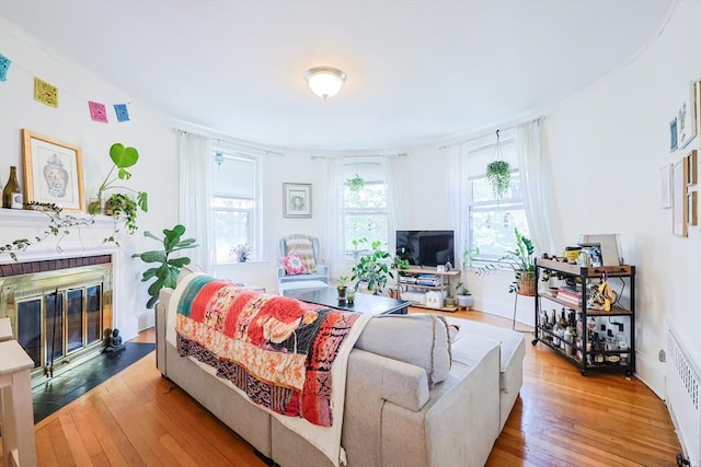 33 Saint Paul St Unit 3, Brookline, MA 02446 - living area with hardwood / wood-style floors and a fireplace