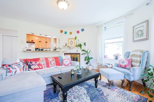 33 Saint Paul St Unit 3, Brookline, MA 02446 - living area with wood finished floors