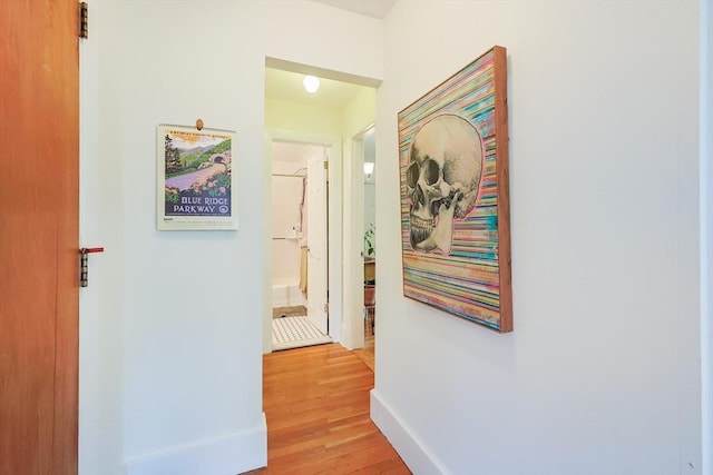 33 Saint Paul St Unit 3, Brookline, MA 02446 - hallway with light wood finished floors and baseboards