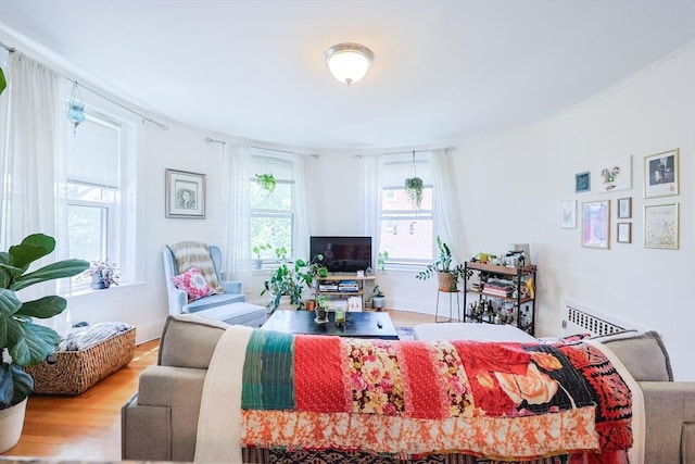 33 Saint Paul St Unit 3, Brookline, MA 02446 - living area with wood finished floors