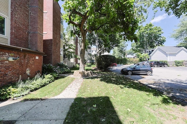 33 Saint Paul St Unit 3, Brookline, MA 02446 - view of green lawn