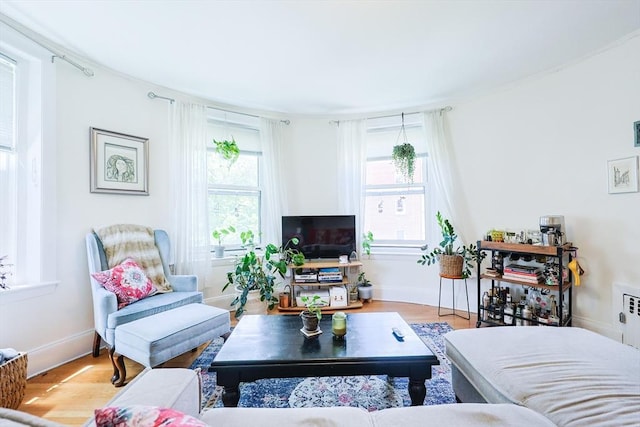 33 Saint Paul St Unit 3, Brookline, MA 02446 - living room with wood finished floors and baseboards