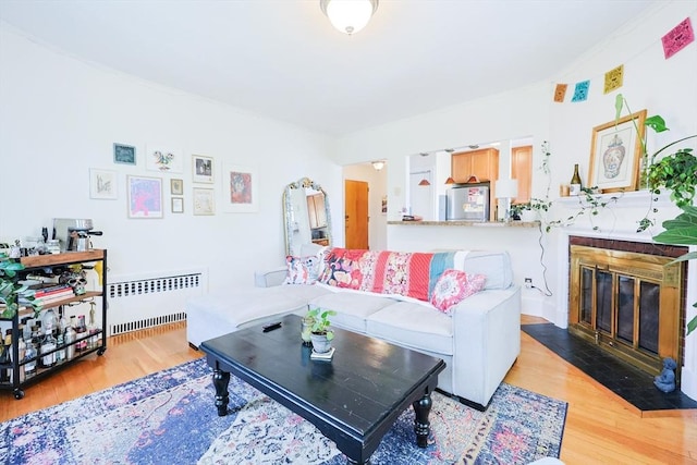 33 Saint Paul St Unit 3, Brookline, MA 02446 - living room with radiator heating unit, light wood-style floors, and a fireplace with flush hearth