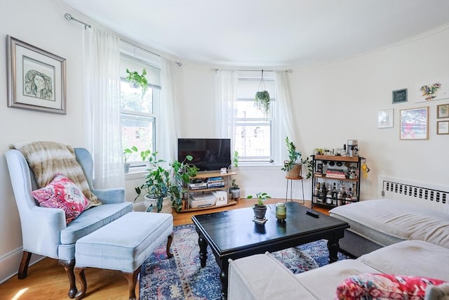 33 Saint Paul St Unit 3, Brookline, MA 02446 - living area with plenty of natural light, radiator heating unit, and wood finished floors