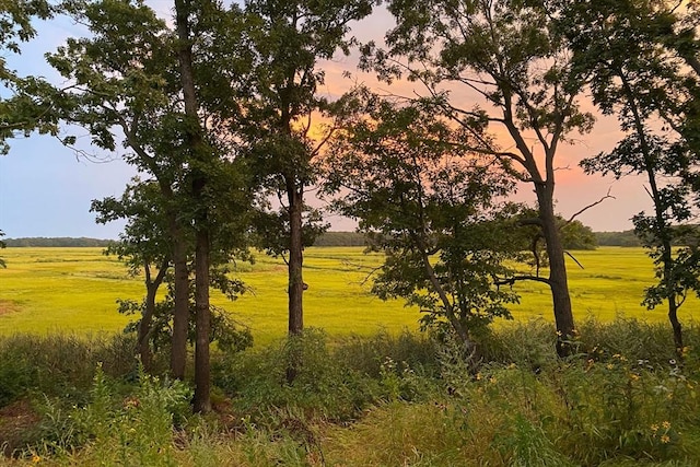 nature at dusk with a rural view