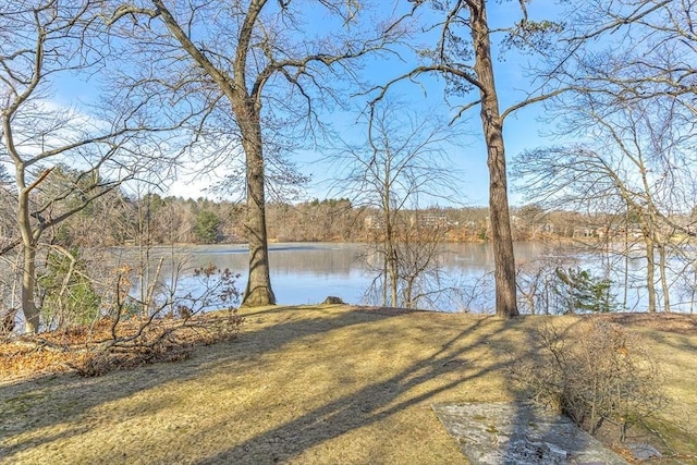 view of water feature