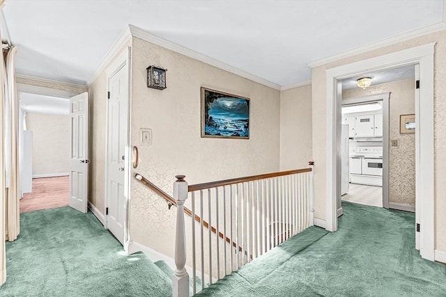 hallway featuring ornamental molding and carpet flooring