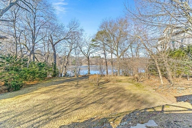 view of yard with a water view