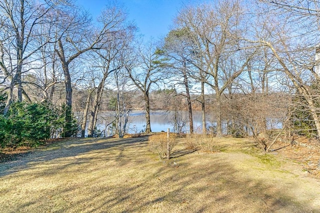 view of yard with a water view