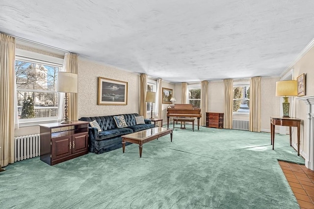 carpeted living room featuring crown molding and radiator