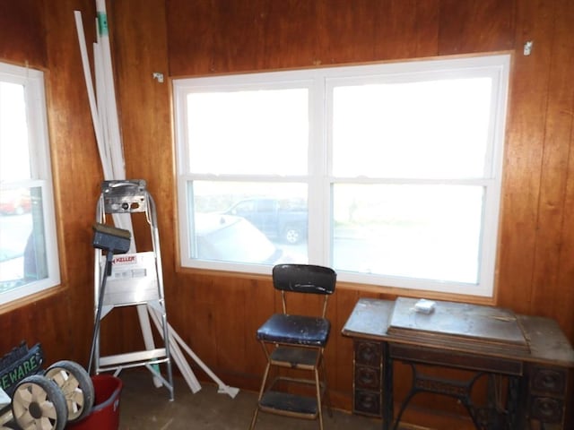 interior space with wood walls and a healthy amount of sunlight