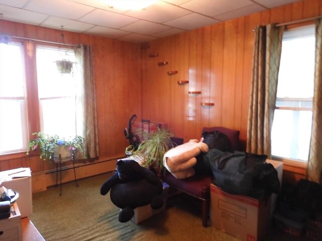 carpeted bedroom with wooden walls