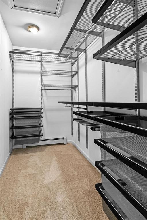 spacious closet with light carpet