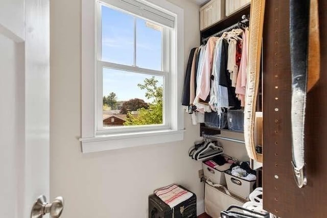 view of walk in closet