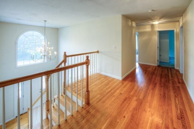 hallway featuring hardwood / wood-style floors and a chandelier