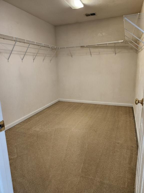 spacious closet featuring carpet floors