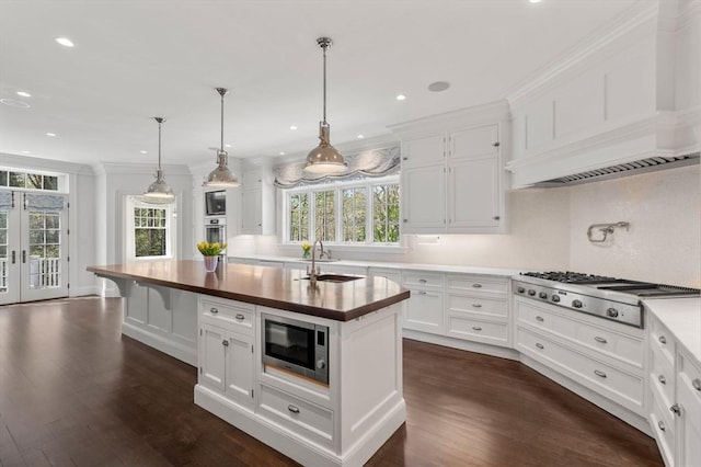 kitchen with a kitchen island with sink, appliances with stainless steel finishes, a healthy amount of sunlight, and custom range hood
