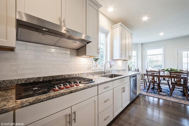 kitchen featuring white cabinets, a sink, dark wood finished floors, exhaust hood, and stainless steel appliances