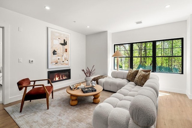 20 Audubon Way Unit 208, Canton, MA 02021 - living area with a glass covered fireplace, wood finished floors, baseboards, and recessed lighting