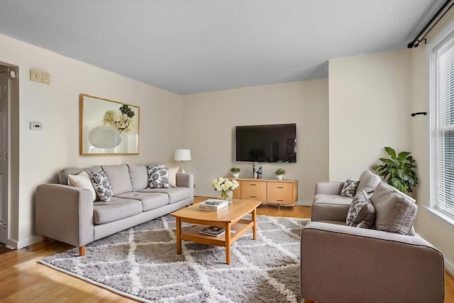 living room with hardwood / wood-style floors