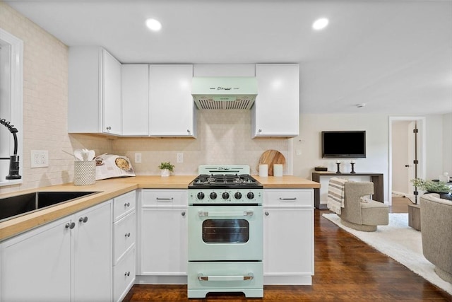 9 Josephine, Canton, MA 02021 - kitchen featuring gas range gas stove, under cabinet range hood, a sink, open floor plan, and dark wood-style flooring
