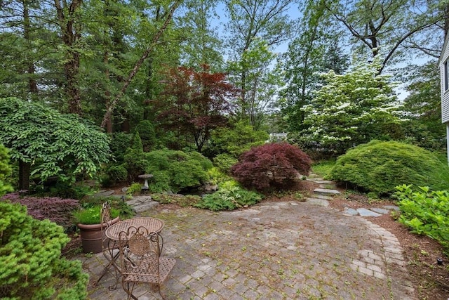 23 Eastview Ave, Billerica, MA 01821 - view of yard featuring a patio area