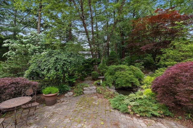 23 Eastview Ave, Billerica, MA 01821 - view of yard featuring a patio area