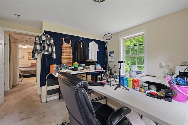 office space with light colored carpet