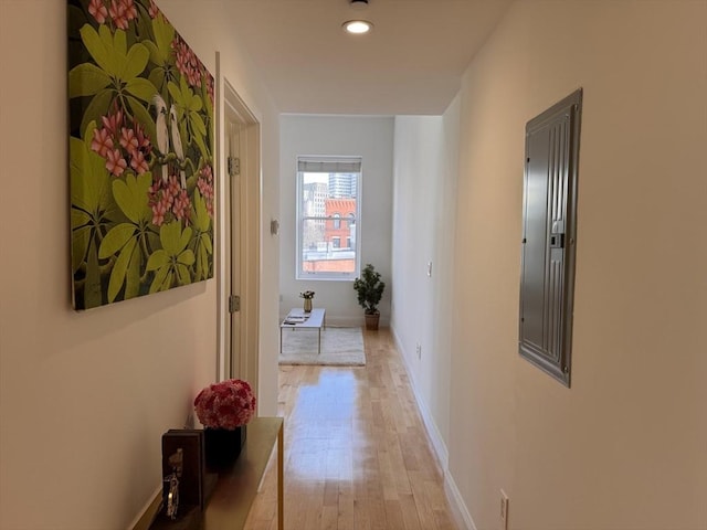 hallway featuring electric panel and light hardwood / wood-style flooring