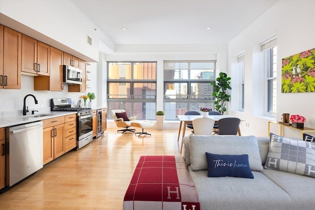 kitchen with plenty of natural light, light hardwood / wood-style floors, sink, and appliances with stainless steel finishes