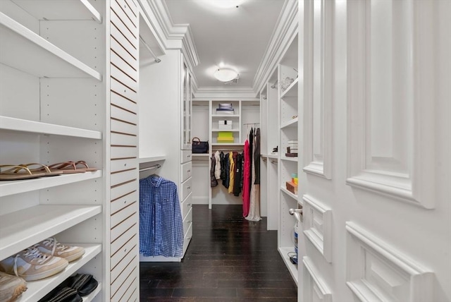 spacious closet with dark wood-style floors