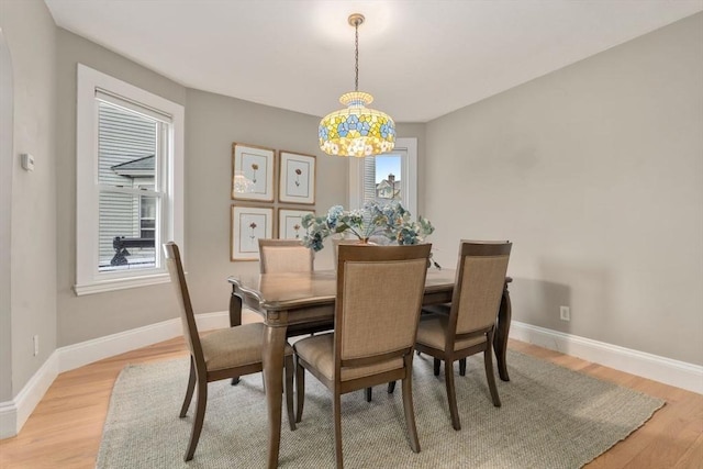 dining room with light hardwood / wood-style floors