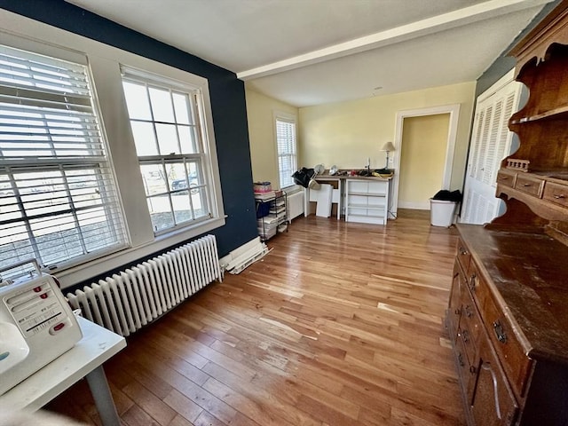 miscellaneous room featuring a wealth of natural light, radiator, and light hardwood / wood-style flooring