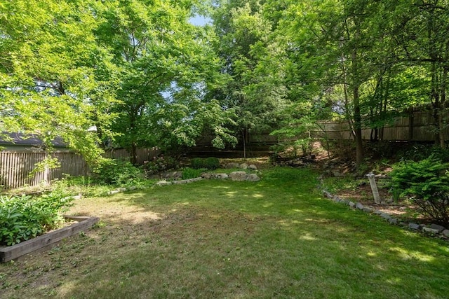 18 Milton Rd, Brookline, MA 02445 - view of yard featuring a garden
