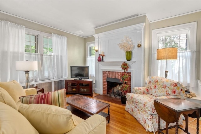 18 Milton Rd, Brookline, MA 02445 - living room featuring light wood-type flooring, crown molding, and a fireplace