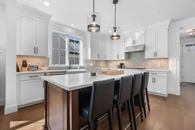 4 Pioneer Rd Unit 4, Framingham, MA 01701 - kitchen featuring under cabinet range hood, a center island, dark wood-style flooring, recessed lighting, and white cabinetry