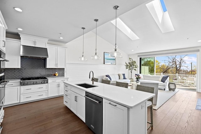 kitchen featuring appliances with stainless steel finishes, a sink, light countertops, dark wood-type flooring, and under cabinet range hood