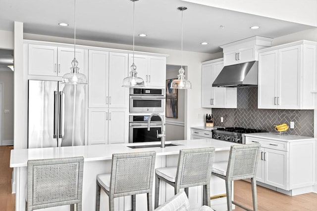 kitchen with appliances with stainless steel finishes, light wood-type flooring, a sink, light countertops, and under cabinet range hood