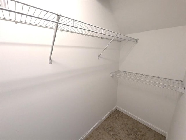 view of walk in closet