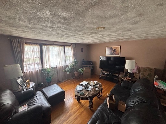 10 Gloversbrook Rd, Randolph, MA 02368 - living area with a textured ceiling and wood finished floors